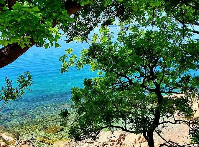 Auto Kamp Punta Povile Ξενοδοχείο Novi Vinodolski
